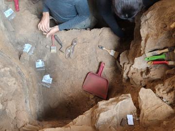 s9 lower hearth sampling